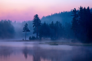 Bible Verses for Bereavement: 10 Helpful Scripture Quotes