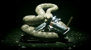 Guns Snakes Weapons Hitman