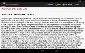 Scarlet Letter Quotes With Page Numbers