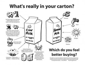 Cow milk vs almond milk. Really want to make the switch