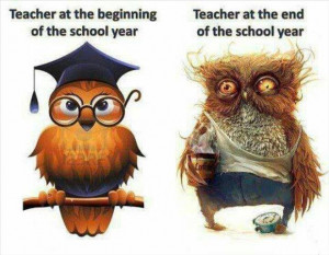 teachers funny pictures