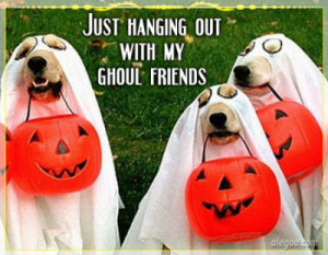 Halloween Quotes and Pictures #2