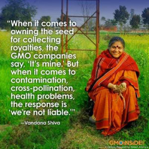 Vandana Shiva Quote ~ GMO Health Problems 