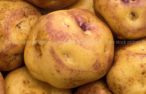 Pink Eye Potato