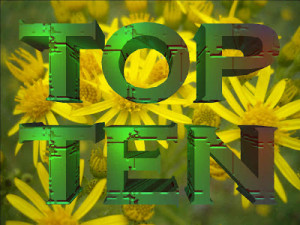 My TOP TEN humorous garden quotes and quips I've heard around. Please ...