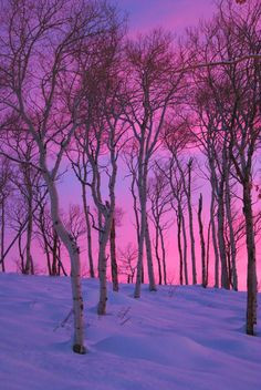 winter sunset by beautiful nature more winter snow beautiful natural ...