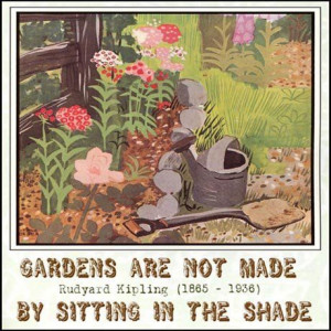 ... Quotes, Funny Friday, Plants, Rudyard Kipling, Garden Quotes, Shades