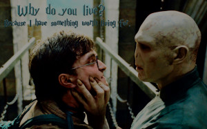 Harry Potter Harry & Voldemort in Deathly Hallows