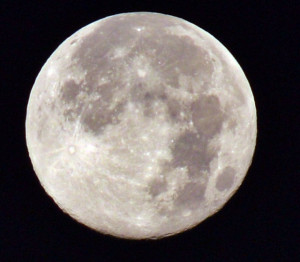 ... to be fishin is when its raining, and when it ain't - Rancid Crabtree