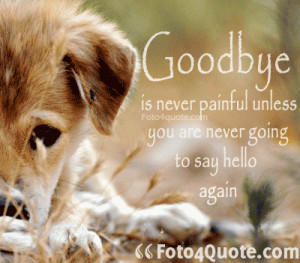 sad goodbye quotes - Goodbye is never painful unless you never going ...