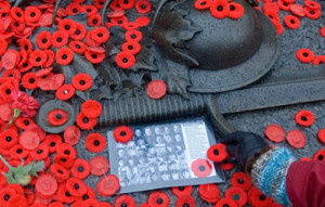 Poppy Day and Other Observances