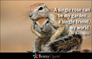 single rose can be my garden... a single friend, my world. - Leo ...