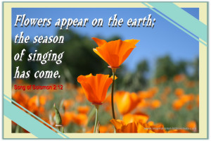 Old Testament. If you're looking for Psalms or Proverbs they have ...