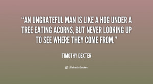 An ungrateful man is like a hog under a tree eating acorns, but ...