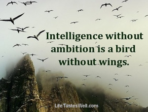 Ambition and love are the wings to great deeds. Johann Wolfgang Von ...