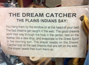 Dream Catcher Quotes