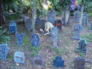 Halloween Graveyard 2010 by Dream-finder