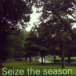 ... are. Some seasons only come once in a lifetime. Maximize the moment