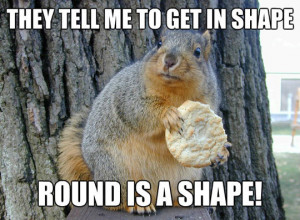 Fitness squirrel…