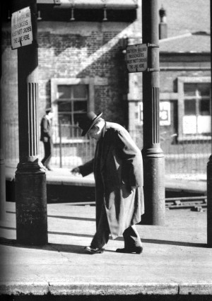 Norman Parkinson: Georges Enesco , 1953