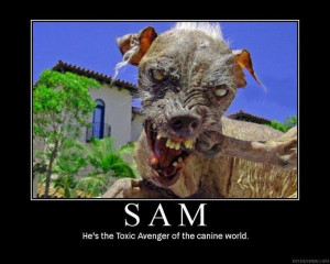 Sam the World’s Ugliest Dog