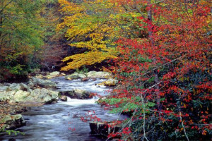 & Pigeon Forge, and the Great Smoky Mountains.Great Smoky Mountains ...