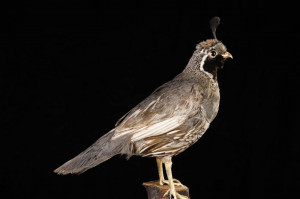 quote product added to quote remove from quote product added to quote ...