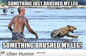 something simply brushed my leg and fell not happy.