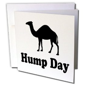 gc_159637_2 EvaDane - Funny Quotes - Hump Day. Camel. Wednesday ...
