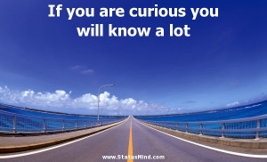 you are curious you will know a lot Socrates Quotes StatusMind