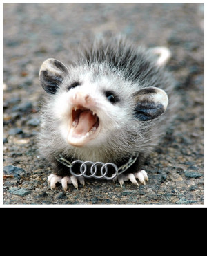 Funny Quotes Contact Us DMCA Notice