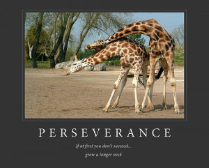 ... dry humor! demotivational posters gallery, funny motivational pictures