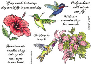hummingbirds and flowers