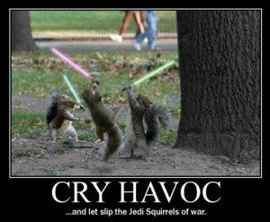 cry havoc and let slip the squirrels of war