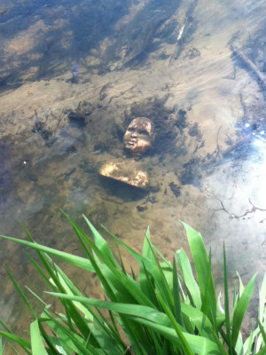 Edith Bunker Alice Cooper