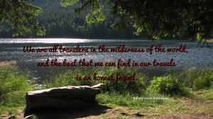 We are all travelers in the wilderness... quote wallpaper