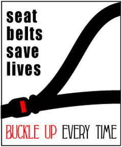 Not wearing a seat belt puts you in danger, but that’s irrelevant ...