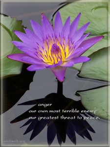 anger quotes – Anger our own most terrible enemy our greatest threat ...