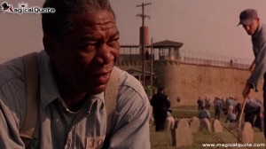 Some-birds-arent-meant-to-be-caged.-Their-feathers-are-just-too-bright