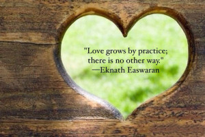 Love grows by practice; there is no other way.