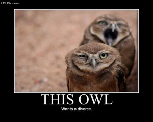 Viewing Page 10/18 from Funny Pictures 1053 (This Owl) Posted 6/9/2011