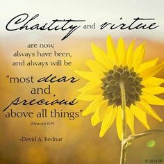 more church chastity quotes elder david david bednar dear elder bednar ...