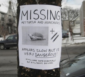 funny-picture-turtle-missing-slow