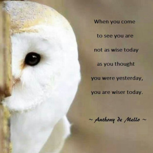Wise owl