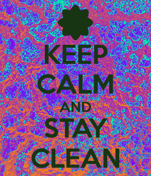 Keep Calm And Clean Your House