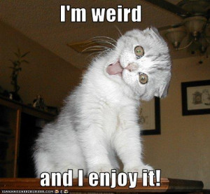 http grumpycatpics com i m weird and i enjoy it
