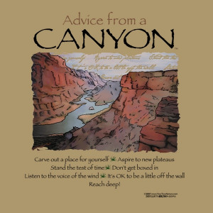 advice from a canyon