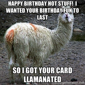 happy birthday llama
