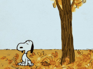 fall peanuts autumn snoopy its the great pumpkin charlie brown charles ...