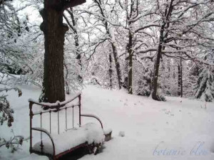 Christmas Sayings... #4